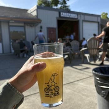 Freewheel Brewing Company - K9 Kolsch - Breweries Near Me - Fremont, California