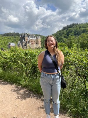 Eltz Castle by null