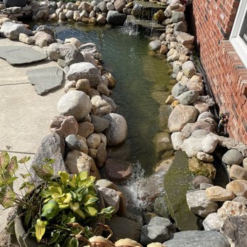 Non Toxic Home - Relaxing coy pond - Landscaping Near Me Non Toxic Home - Relaxing coy pond - Landscaping Near Me
