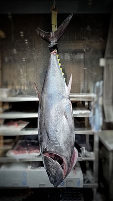 ATO Japanese Restaurant by null