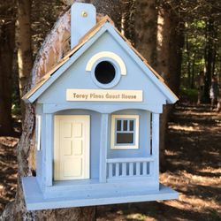 Stone Brook Hill Farm - Our pine grove