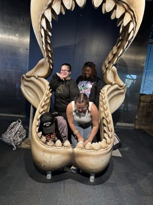 Audubon Aquarium by null