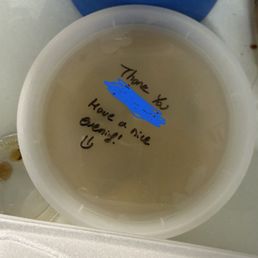 Miso Miso