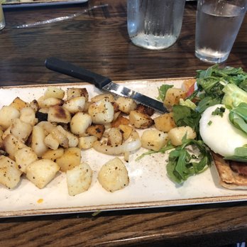 First Watch - Disappointing eggs Benedict with bacon and avocado ...the eggs were boiled not poached - Breakfast & Brunch Near Me - Jacksonville, Florida