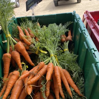 Coastal Roots Farm - Farmers Market Near Me - Encinitas, California Coastal Roots Farm - Farmers Market Near Me - Encinitas, California