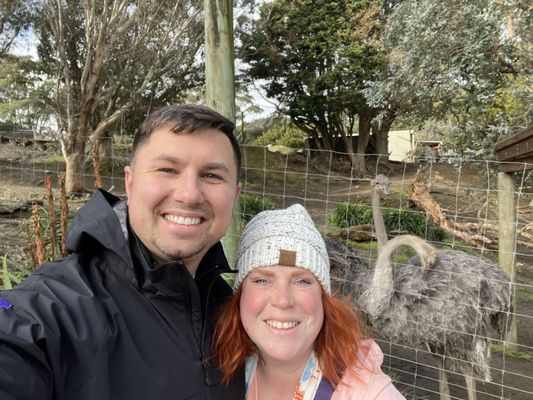 Wellington Zoo by null