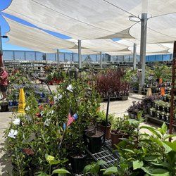 Bunnings Warehouse