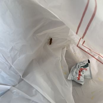Farmer Boys - Cockroach - Burgers Near Me - Bloomington, California