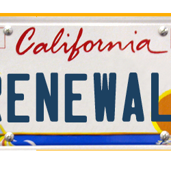 Winston Insurance Agency - We now offer Tags and Renewals Registrations Services.