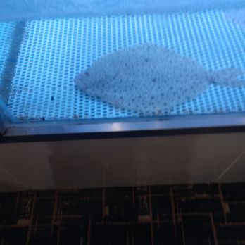 Fung's Kitchen - Flounder - Dim Sum Near Me - Houston, Texas