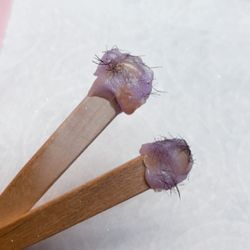 HoneyBe Gorgeous - Nose wax hair removal