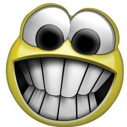 Terra insurance - Smile. Just do it.