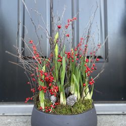 Earth Garden - Holiday planted creation