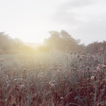 Amoreena Berg, MFT - Counseling & Mental Health Near Me - San Marcos, California Amoreena Berg, MFT - Counseling & Mental Health Near Me - San Marcos, California