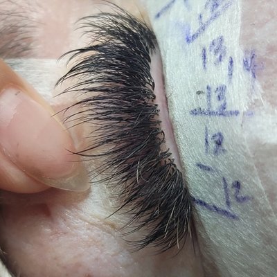 Virtue Lash by null