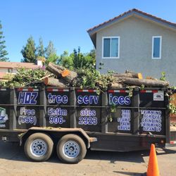 Hdz Tree Services - Hdz tree