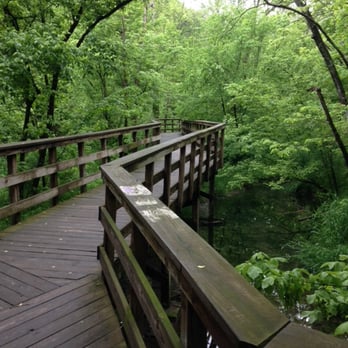 Hayden Falls Park - the graffiti on the wood made me sad, but the scenery around the boardwalk is beautiful. - Parks Near Me - Dublin, Ohio Hayden Falls Park - the graffiti on the wood made me sad, but the scenery around the boardwalk is beautiful. - Parks Near Me - Dublin, Ohio