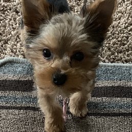 Minnie Minnie