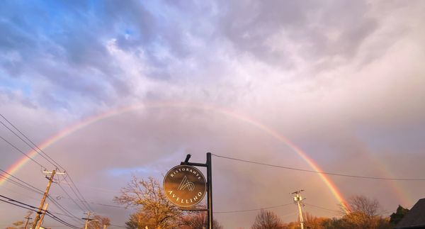 Ristorante Avellino by null