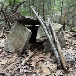 Heins Farm Conservation Area Trail System - Fairy house