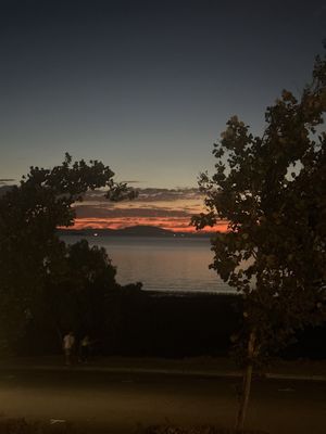 Leila by the Bay by null