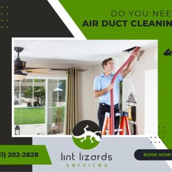 Lint Lizards Services