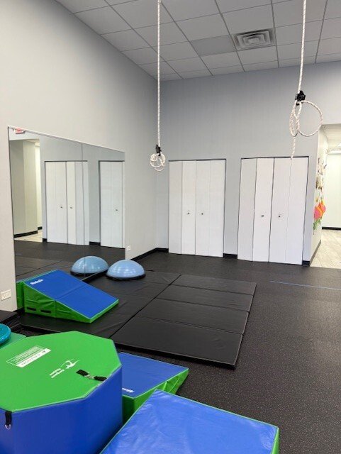 Little Steps Pediatric Therapy - child therapist in Arlington Heights, IL
