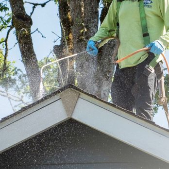 Action Northwest - Green is good, except on your roof! Licensed application of EPA-approved moss treatment protects your roof and you. - Window Washing Near Me Action Northwest - Green is good, except on your roof! Licensed application of EPA-approved moss treatment protects your roof and you. - Window Washing Near Me