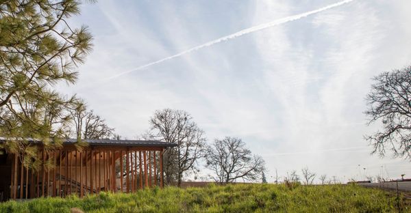 Abbott Claim by null