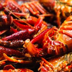 Boil Bay Seafood City