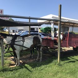 Amish Heritage Welcome Center and Museum