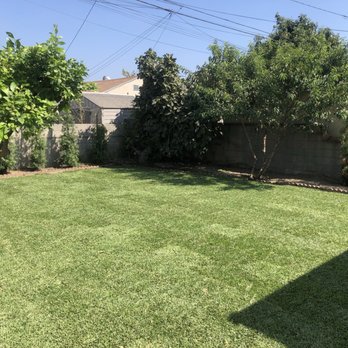 Immaculate Landscape - Irrigation Near Me Immaculate Landscape - Irrigation Near Me