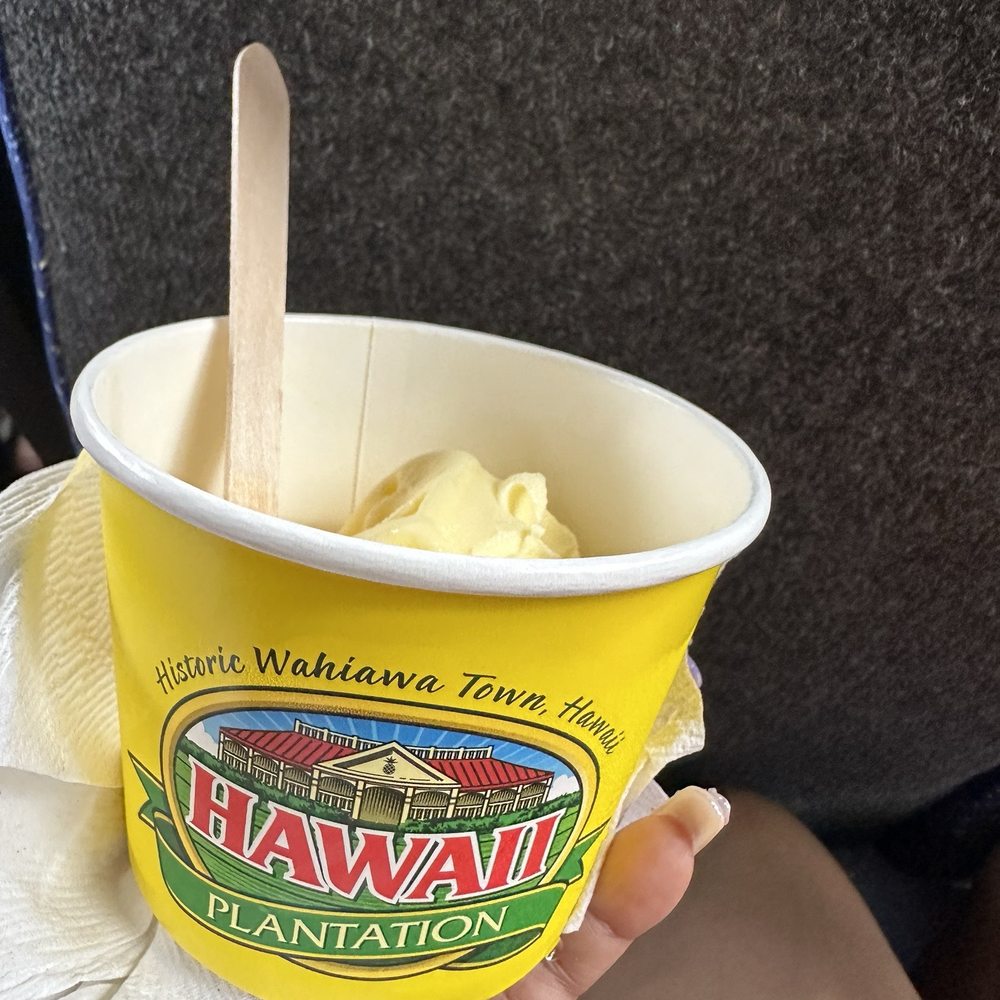 Go Tours Hawaii - Bus Tours Near Me - Honolulu, Hawaii