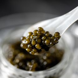 Caviar Centre