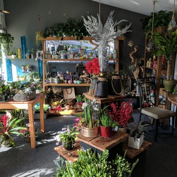 Matteson's Florist - Florists Near Me - Encinitas, California Matteson's Florist - Florists Near Me - Encinitas, California