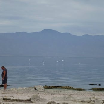 Salton Sea - Beautiful scenery but smells dead fish. - Beaches Near Me - Desert Shores, California