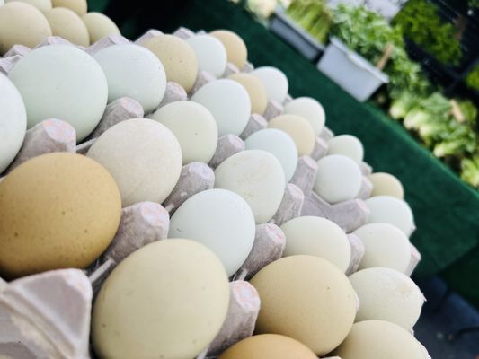 Irvine Farmers Market by null