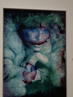 Vero Beach Museum of Art by null