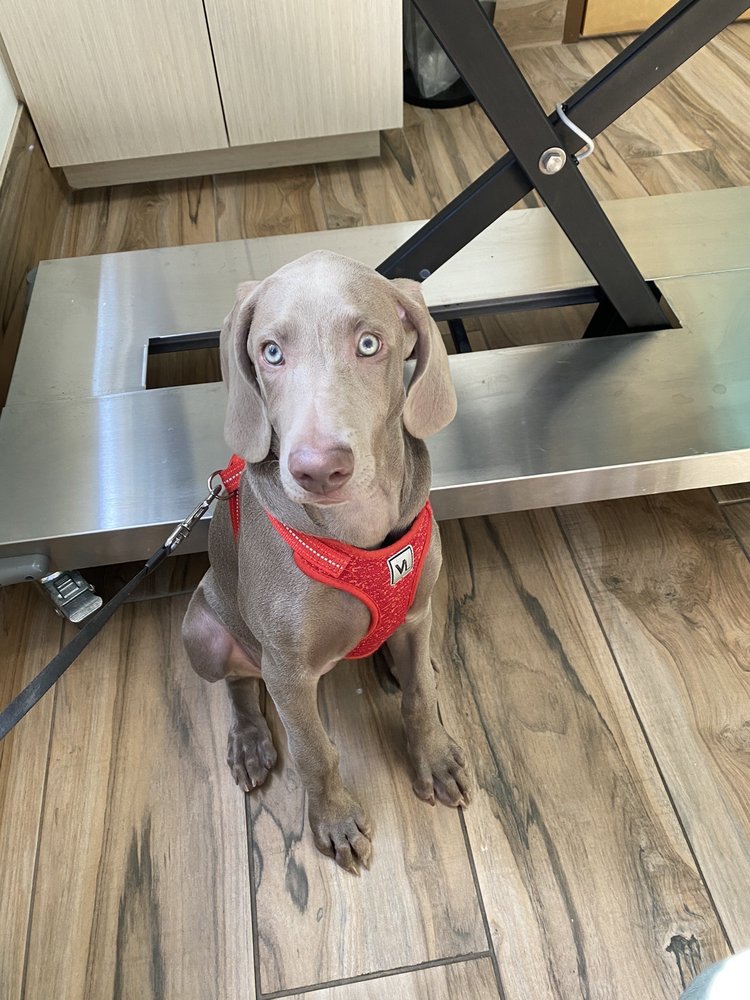 Wintermere Pointe Animal Hospital Image