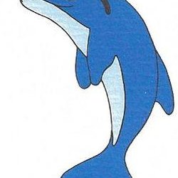 Blue Dolphin Pool Service