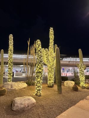 Tucson International Airport by null