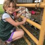 Photo of Kids Junction Summer Adventure Camp