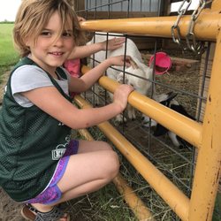 Kids Junction Summer Adventure Camp - Petting animals after SAC Jr. tour of Sassy Cow Creamery