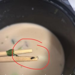 Mala Noodles - Worm