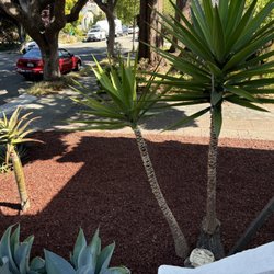 Enrique Gardening Maintenance