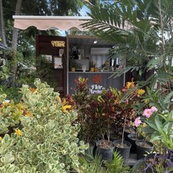 Jardín de Carmencita - Cafe and Garden Shop