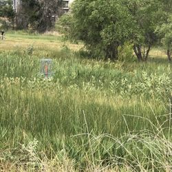 The Outback DGC - Whole course was like this
