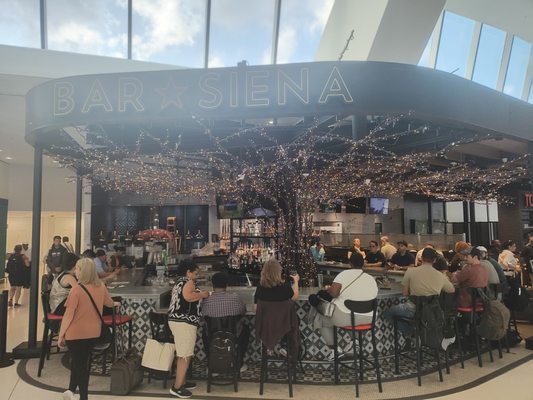 Bar Siena O'Hare by null