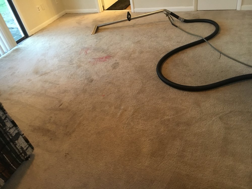 FLORIDA’S VERY OWN FLOOR CLEANERS Updated August 2024 Daytona Beach