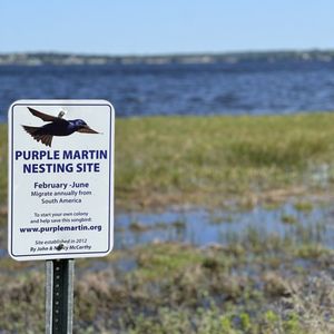 Parks and Trails of Central Florida